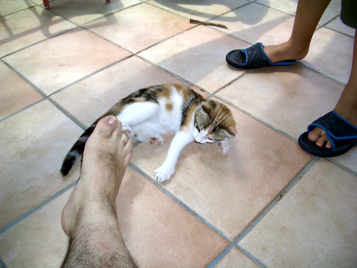 Caramel 08-04 005.jpg